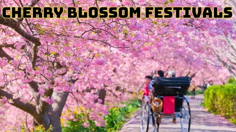 Cherry Blossom Festivals in Japan: Complete 2025 Guide