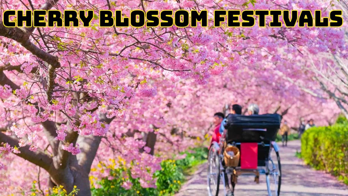 Cherry Blossom Festivals in Japan: Complete 2025 Guide